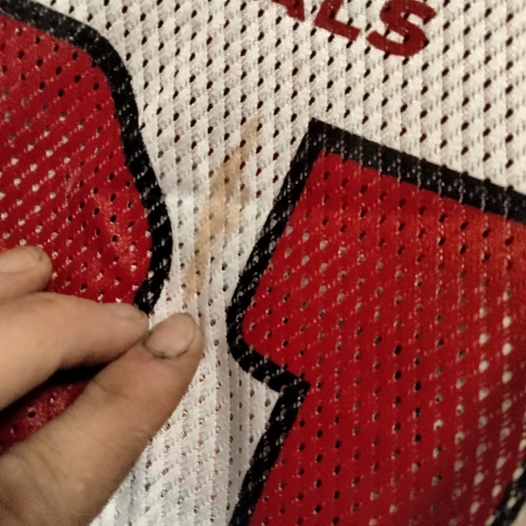 Official NFL Phoenix Cardinal's jersey - Picture 4 of 7